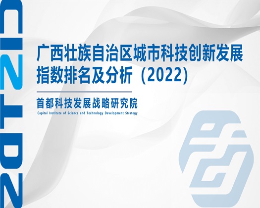 大鸡巴视频毛片毛片【成果发布】广西壮族自治区城市科技创新发展指数排名及分析（2022）